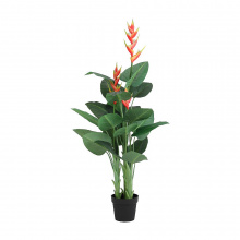 HENA HELICONIA TREE WITH/POT HIGH 140 CM. - GREEN